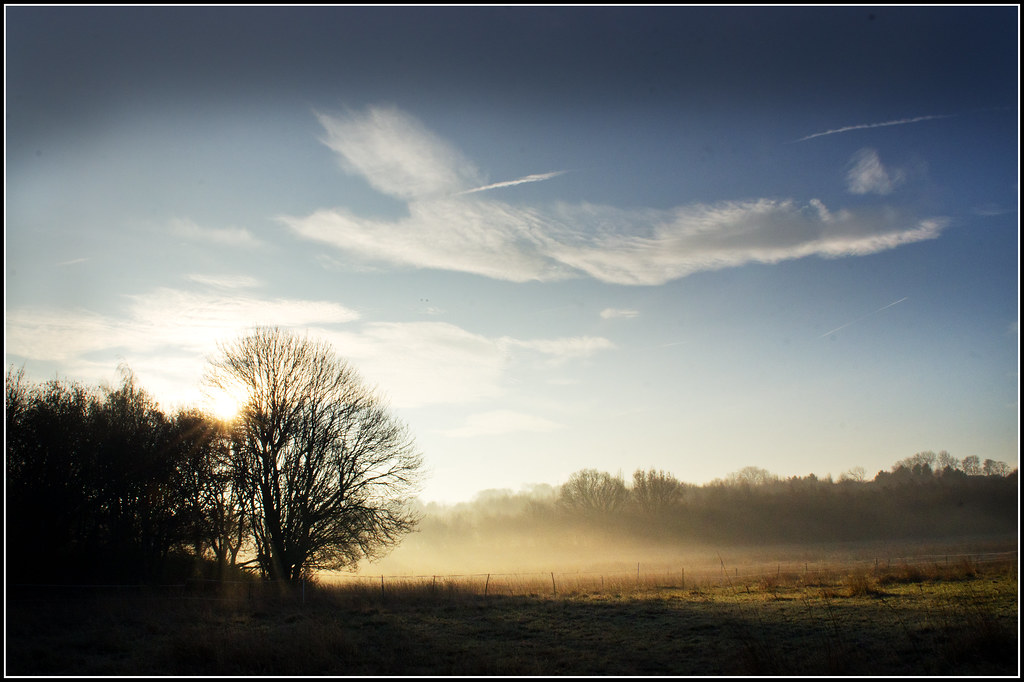 Soft morning light and low golden mist over a quiet Midwest meadow at sunrise