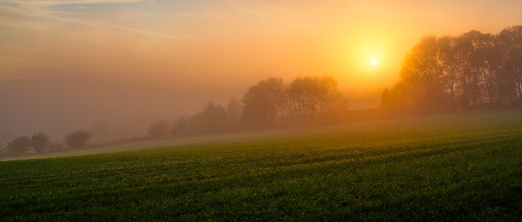 Warm sunrise breaking through morning mist over an open field